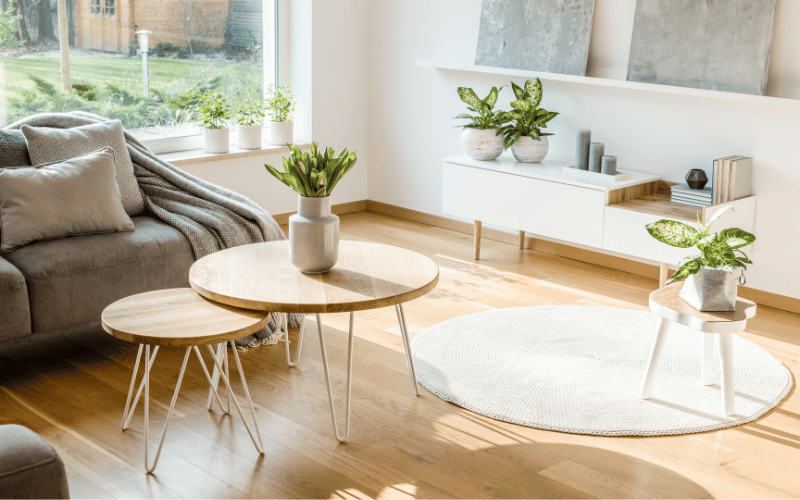 Where and How to Use Oval Rugs in Your Living Room - Decorsify